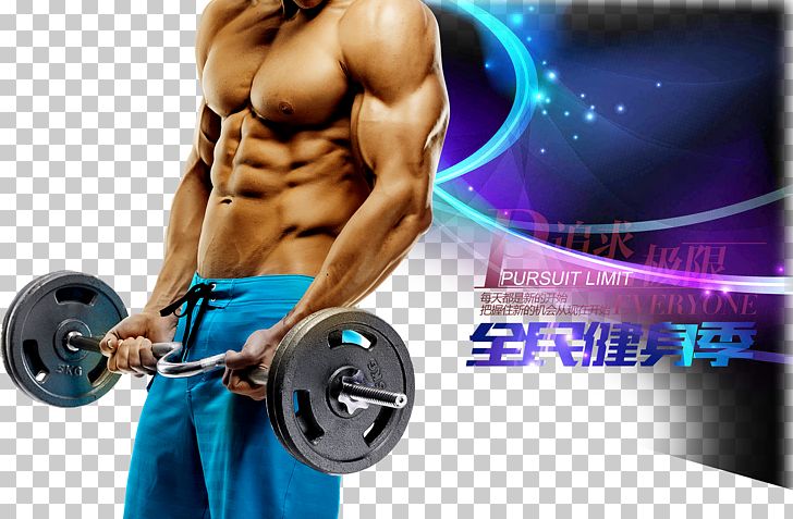 Physical Exercise Biceps Curl Dumbbell Barbell PNG, Clipart, Abdomen, Advertisement Poster, Arm, Bodybuilder, Club Free PNG Download