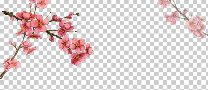South Korea Flower Drawing Illustration PNG, Clipart, Asian Art, Blossom, Botanical Illustration, Branch, Cherry Blossom Free PNG Download
