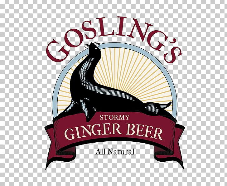 Ginger Beer Dark 'N' Stormy Fizzy Drinks Gosling Brothers PNG, Clipart,  Free PNG Download