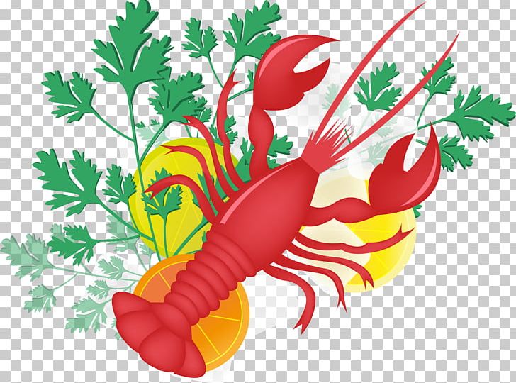 Lobster Palinurus PNG, Clipart, Adobe Illustrator, Animals, Art, Celery, Cuisine Free PNG Download