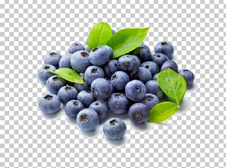 Blueberry Fruit Food Antioxidant Shrub PNG, Clipart, Anthocyanin, Antioxidant, Berry, Bilberry, Blueberry Free PNG Download