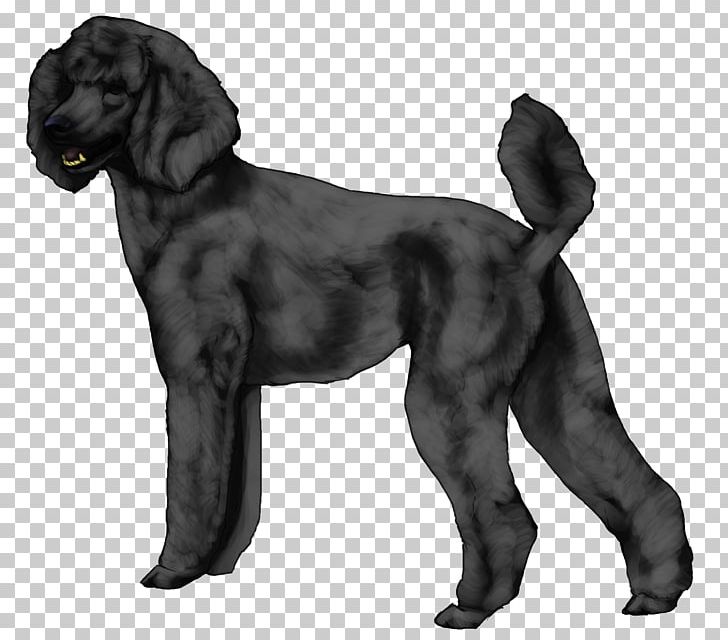 Field Spaniel Boykin Spaniel Flat-Coated Retriever Portuguese Water Dog Dog Breed PNG, Clipart, Boykin Spaniel, Breed, Carnivoran, Coat, Crossbreed Free PNG Download