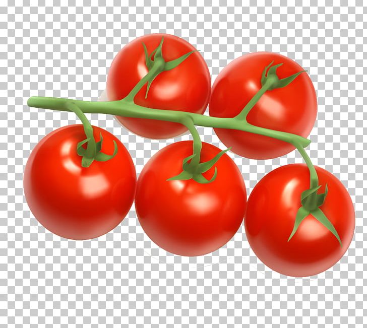 Tomato Juice Cherry Tomato PNG, Clipart, Bush Tomato, Cherry, Diet Food, Drawing, Food Free PNG Download