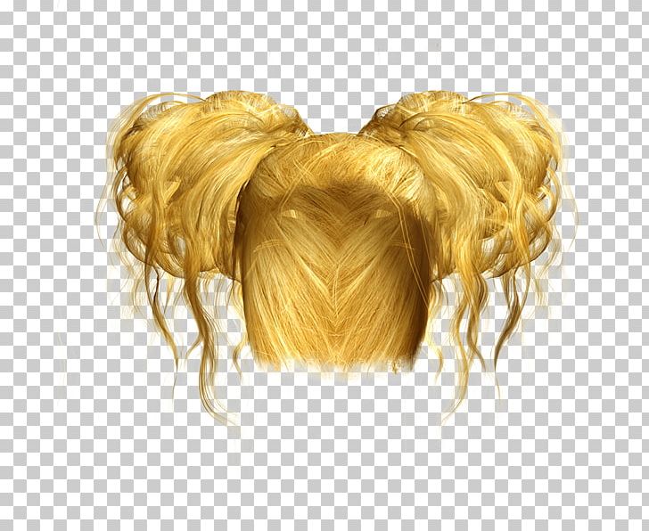 GIMP PhotoScape Wig PNG, Clipart, Blog, Desktop Wallpaper, Download, Gimp, Hair Free PNG Download