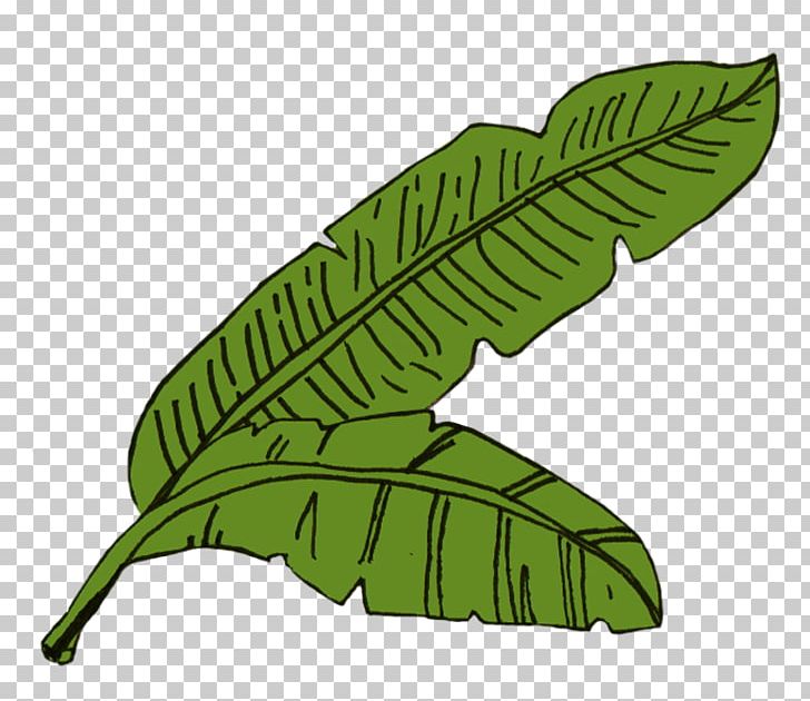 Leaf Illustration Food Sketch PNG, Clipart, Banana, Food, Leaf, Menu, Month Free PNG Download