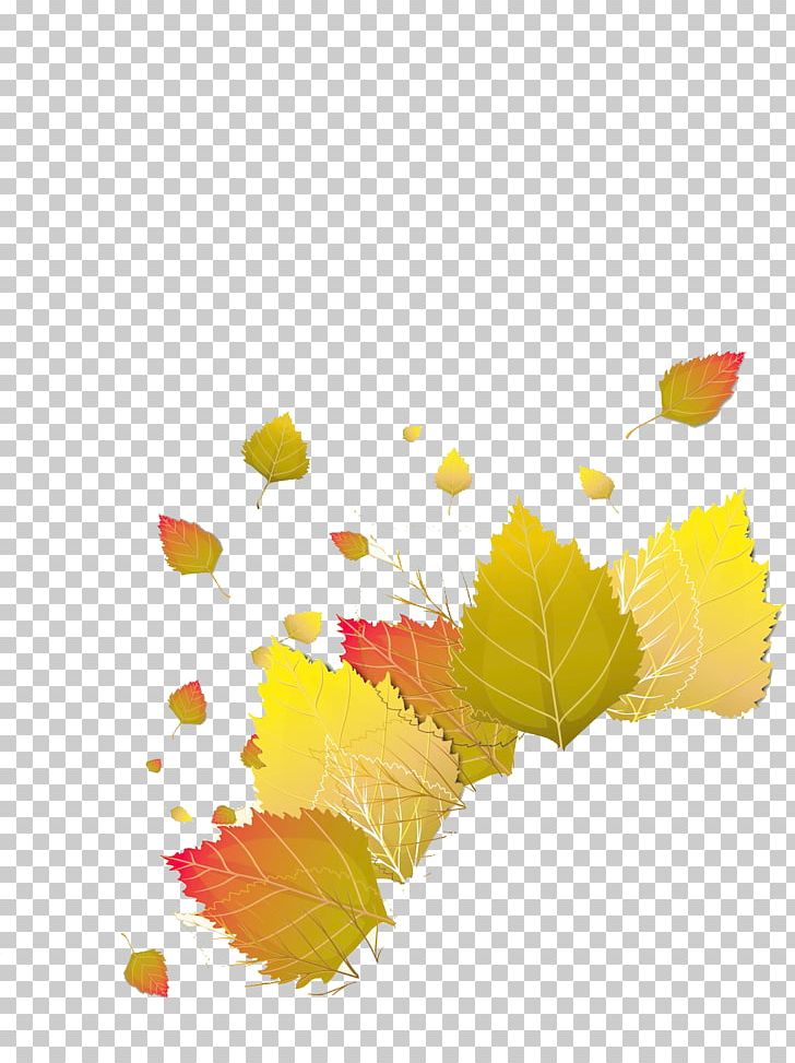 Red Maple Yellow Maple Leaf PNG, Clipart, Autumn Leaf, Autumn Leaf Color, Download, Euclidean Vector, Flower Free PNG Download