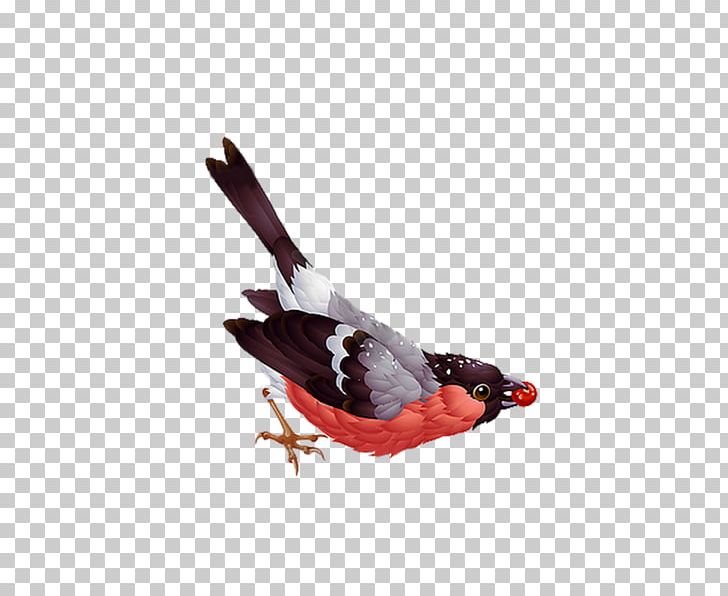 Bird Bullfinch PNG, Clipart, Animals, Beak, Bird, Bullfinch, Eurasian Bullfinch Free PNG Download