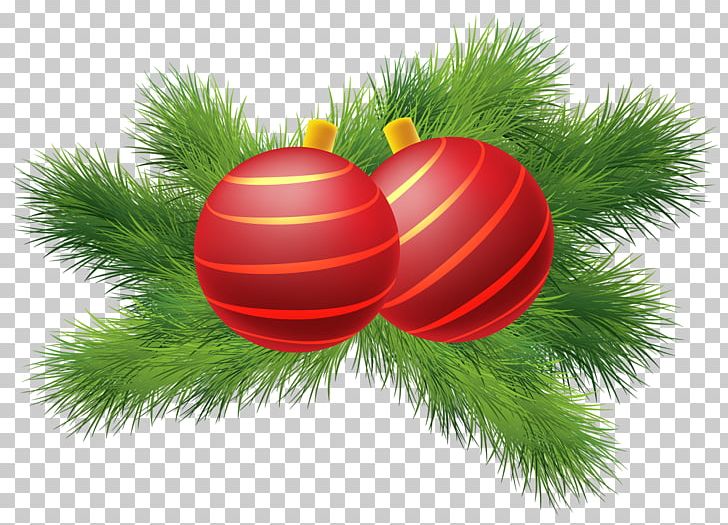 Christmas Decoration Christmas Ornament PNG, Clipart, Ball, Bombka, Candy Cane, Christmas, Christmas Decoration Free PNG Download