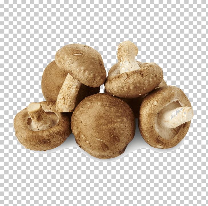 Shiitake Common Mushroom Liqueur Edible Mushroom PNG, Clipart, Champignon Mushroom, Common Mushroom, Cooking, Dietary Fiber, Edible Mushroom Free PNG Download
