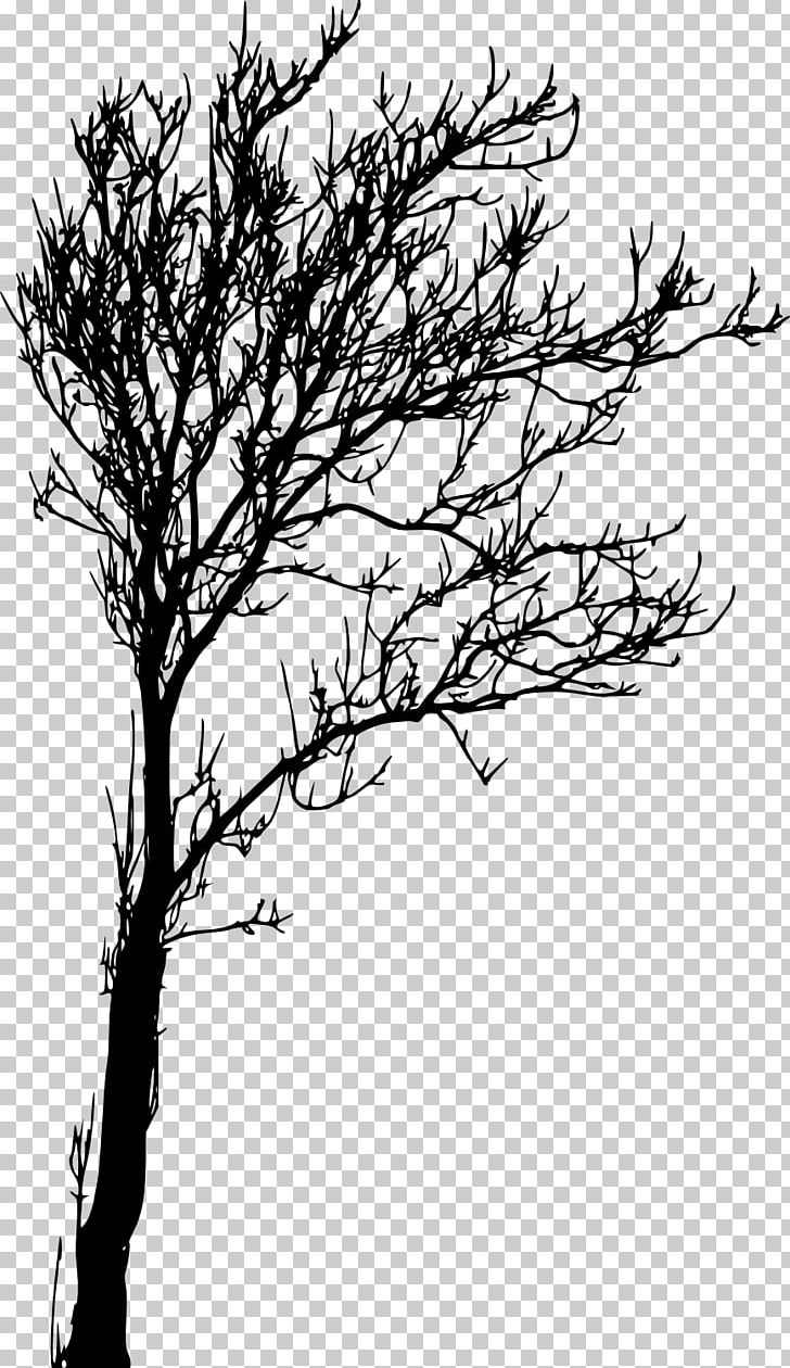 Tree Branch Woody Plant Twig Silhouette PNG, Clipart, Black And White, Branch, Drawing, Flower, Flowering Plant Free PNG Download
