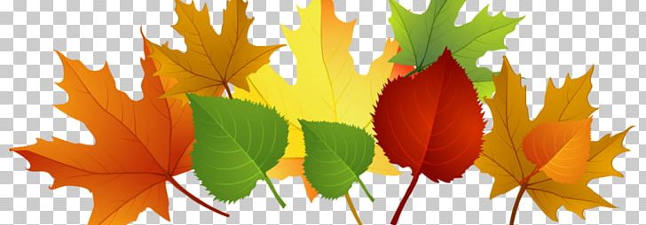 Autumn Leaf Color PNG, Clipart, Art, Autumn, Autumn Leaf Color, Branch, Computer Free PNG Download