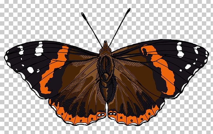 Butterfly Red Admiral Stock Photography PNG, Clipart, Arthropod, Brush Footed Butterfly, Butterflies And Moths, Butterfly, Fotosearch Free PNG Download
