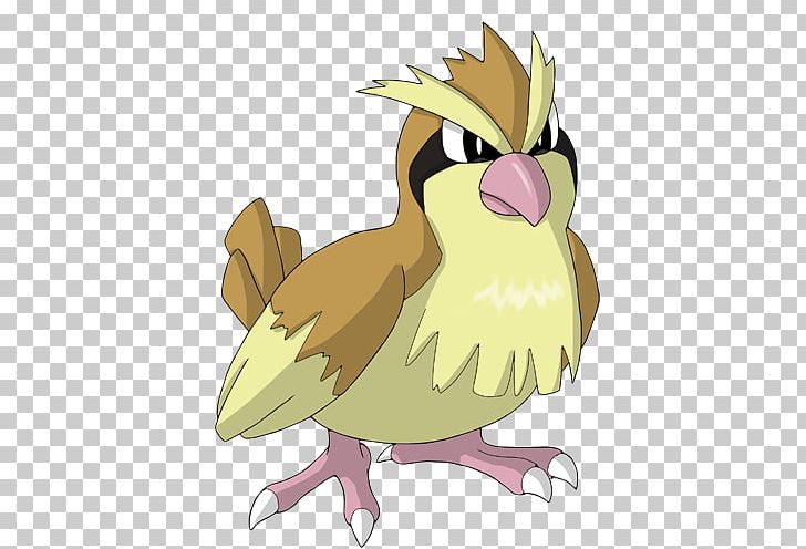 Pidgeotto Pidgey Johto Pokémon Shroomish PNG, Clipart, Arbok, Art, Beak, Bird, Bird Of Prey Free PNG Download