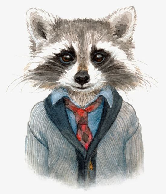 Cartoon Raccoon PNG, Clipart, Animal, Animal Illustration, Cartoon Clipart, Hand Painted, Hand Painted Raccoon Free PNG Download
