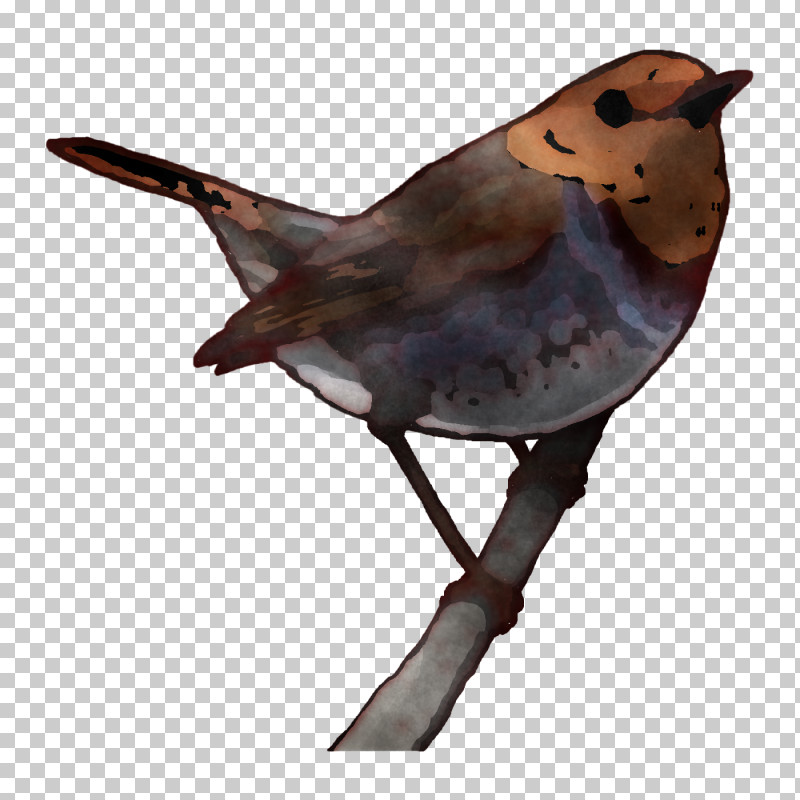 Mockingbird PNG, Clipart, Beak, Bird Of Prey, Birds, Emberiza, European Robin Free PNG Download