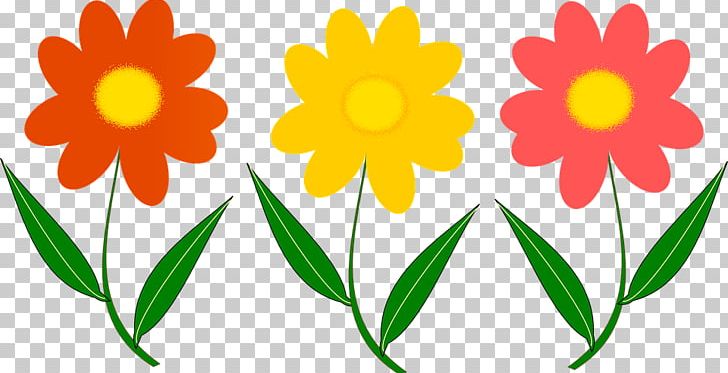Plant Stem Flower Flowers PNG, Clipart, Computer Icons, Cut Flowers, Daisy Family, Flora, Flower Free PNG Download