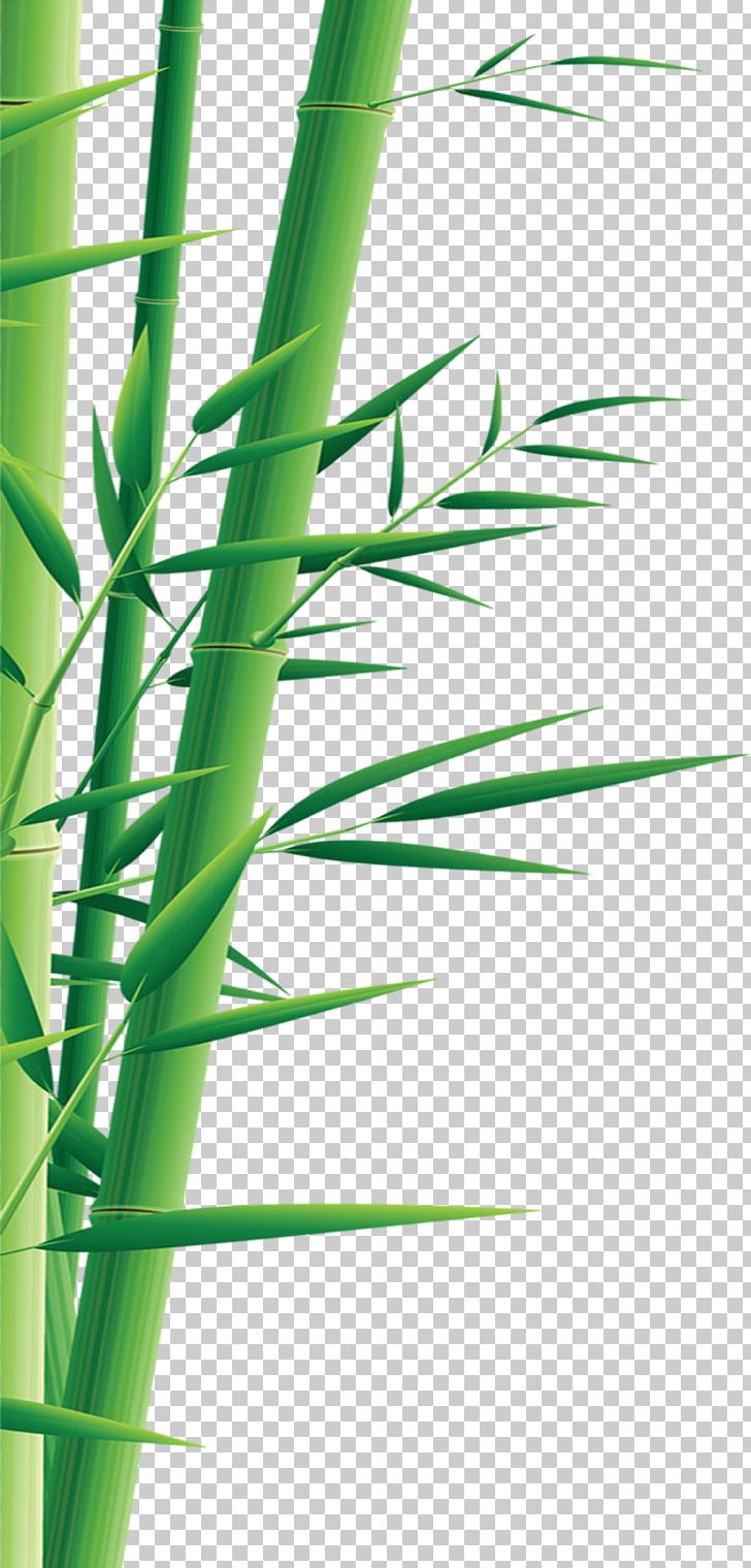 Graphic Design Illustration PNG, Clipart, Angle, Bamboo, Bamboo Border, Bamboo Frame, Bamboo Leaf Free PNG Download