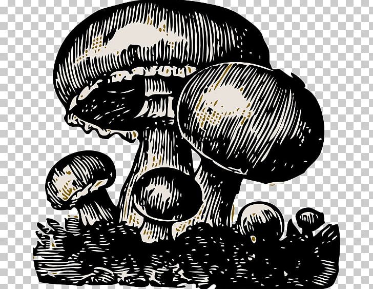 Mushroom Cloud Food PNG, Clipart, Agaricus, Agrocybe, Black And White, Common Mushroom, Cyclocybe Aegerita Free PNG Download