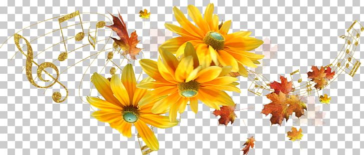 Cut Flowers Petal Floral Design Floristry PNG, Clipart, Autumn, Calendula, Chrysanthemum, Chrysanths, Computer Wallpaper Free PNG Download