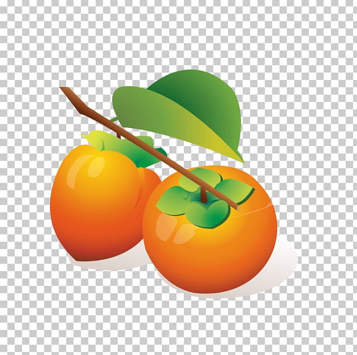Japanese Persimmon Auglis Illustration PNG, Clipart, Cartoon Arms, Cartoon Character, Cartoon Eyes, Cartoons, Citrus Free PNG Download