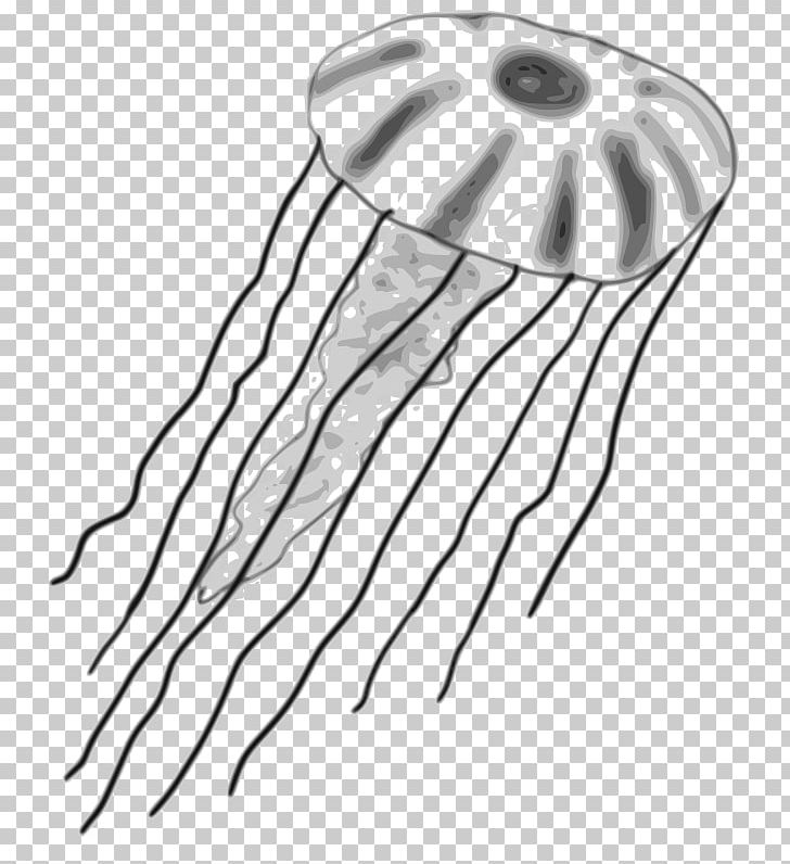 Jellyfish Gelatin Dessert PNG, Clipart, Animal, Artwork, Black And White, Color, Computer Icons Free PNG Download