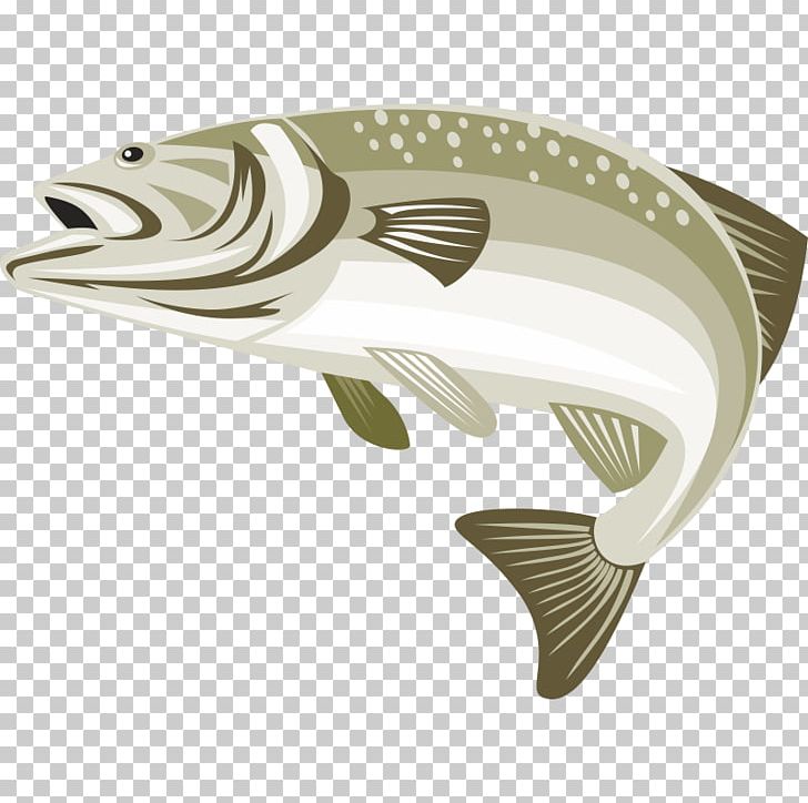 Largemouth Bass Stock Photography Green Sunfish PNG, Clipart,  Free PNG Download