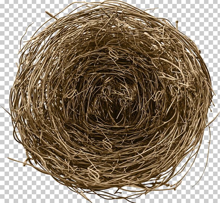 Nest PNG, Clipart, Animals, Beehive, Bird Nest, Birds Nest, Birds Nest Packaging Free PNG Download