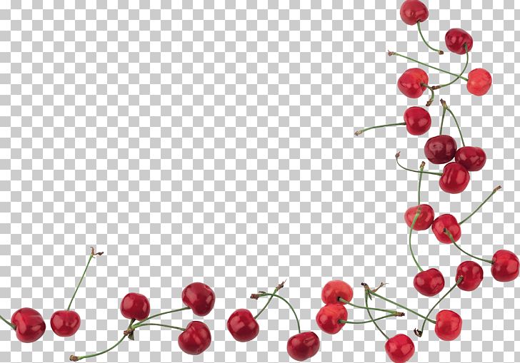 Cherry PNG, Clipart, Autumn, Autumn Fruits, Berry, Cherry, Cherry Blossom Free PNG Download