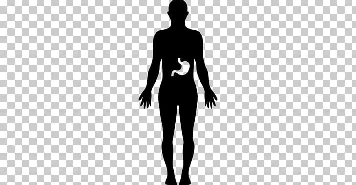 Human Body Silhouette Homo Sapiens PNG, Clipart, Abdomen, Anatomy, Animals, Arm, Back Free PNG Download