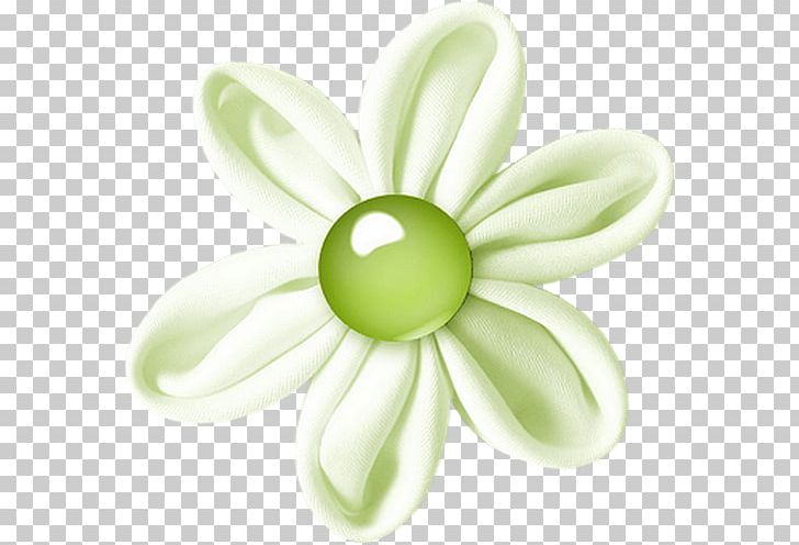 Pearl Jewellery PNG, Clipart, Body Jewellery, Body Jewelry, Download, Flower, Green Free PNG Download