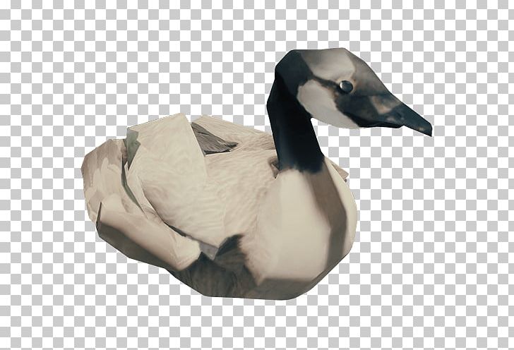 Goose Bird Duck Feather Animal PNG, Clipart, Animal, Beak, Bird, Deer, Duck Free PNG Download