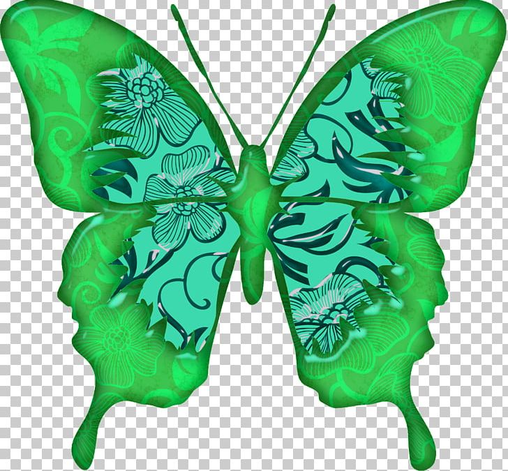 Nymphalidae Butterfly PNG, Clipart, Animation, Arthropod, Brush Footed Butterfly, Color, Colors Free PNG Download