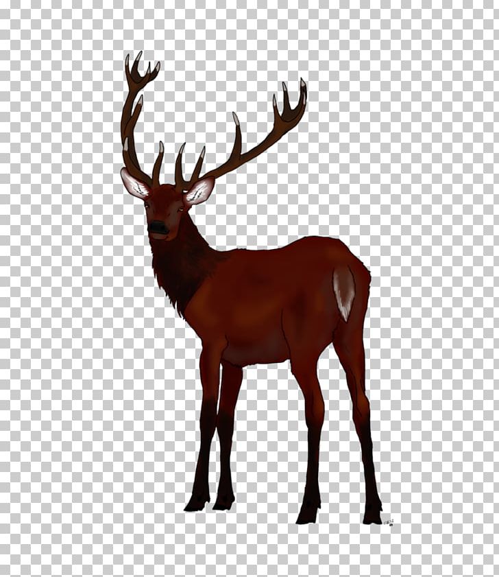 Reindeer Red Deer Elk White-tailed Deer PNG, Clipart, Animal, Antler, Art, Cartoon, Deer Free PNG Download