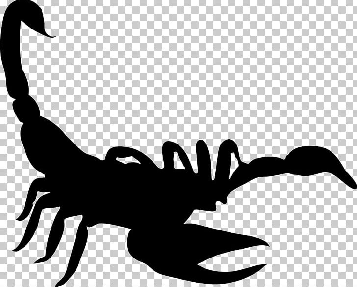 Scorpion PNG, Clipart, Animal, Animals, Artwork, Black And White, Computer Icons Free PNG Download