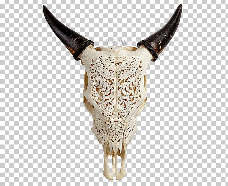 Texas Longhorn English Longhorn Skull Bull Ox PNG, Clipart, Animal, Bone, Bull, Cattle, English Longhorn Free PNG Download