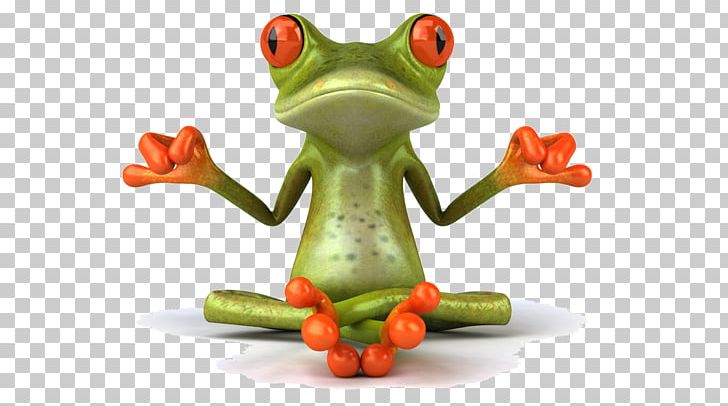 Frog Zen Meditation Lithobates Clamitans PNG, Clipart, Adolescent, Amphibian, Animals, Crazy Frog, Denge Free PNG Download