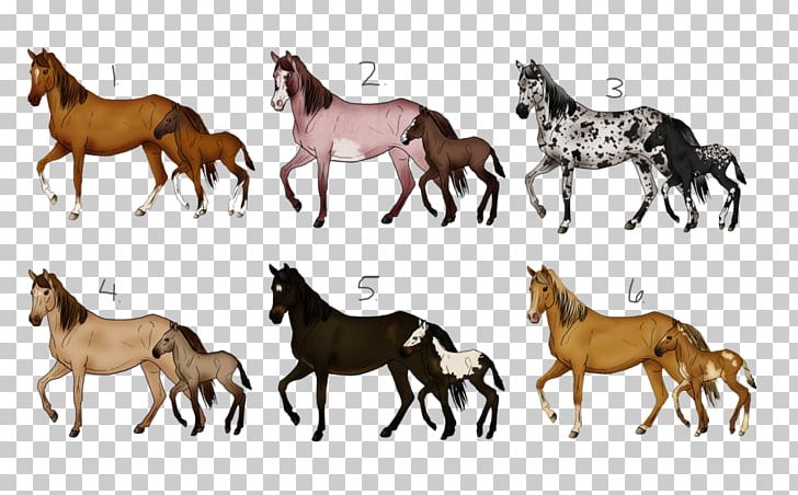 Mustang Foal Mare American Paint Horse Colt PNG, Clipart, American Paint Horse, Animal Figure, Bay, Buckskin, Chestnut Free PNG Download