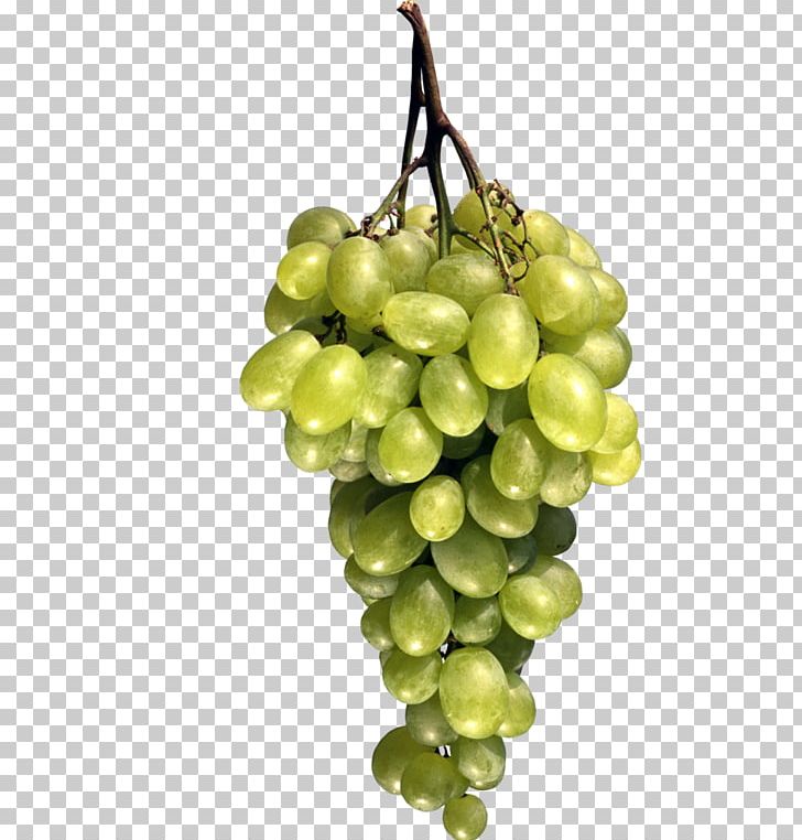 Sultana Grapevines Berry PNG, Clipart, Bunch, Bunch Of Grapes, Climacteric, Creativ, Creative Ads Free PNG Download