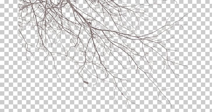 Twig PNG, Clipart, Artwork, Black And White, Branch, Brush, Cari Free PNG Download