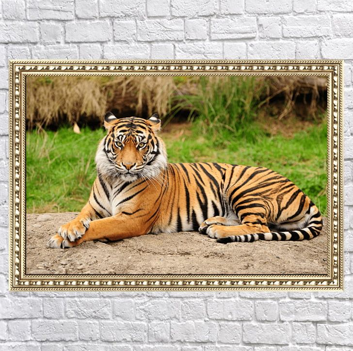 Alipore Delhi Bengal Tiger Lion Wildlife PNG, Clipart, Alipore, Animals, Bengal Tiger, Big Cats, Carnivoran Free PNG Download