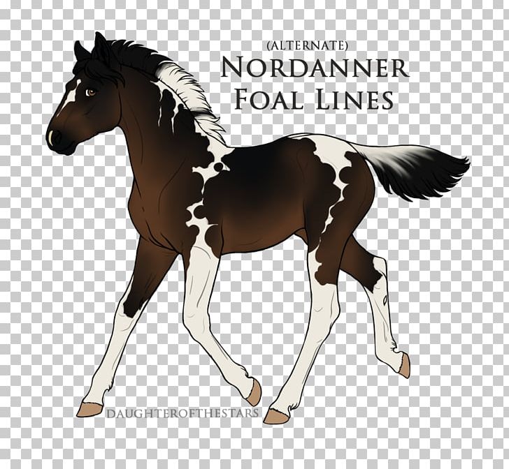 Stallion Foal Pony Mustang Mare PNG, Clipart, Art, Bridle, Colt, Deviantart, Digital Art Free PNG Download