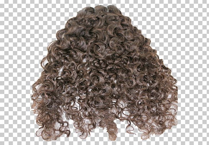 Wig Long Hair Homo Sapiens PNG, Clipart, Art, Curly, Hair, Homo Sapiens, Human Free PNG Download