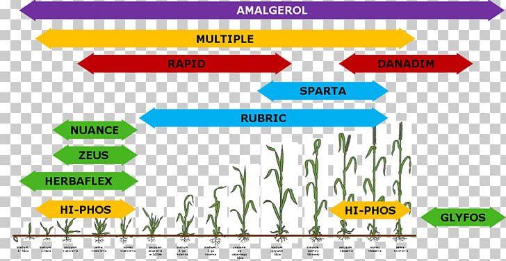 Winter Cereal Triticale Agriculture Fungicide PNG, Clipart, Agricultural Machinery, Agriculture, Angle, Area, Brand Free PNG Download