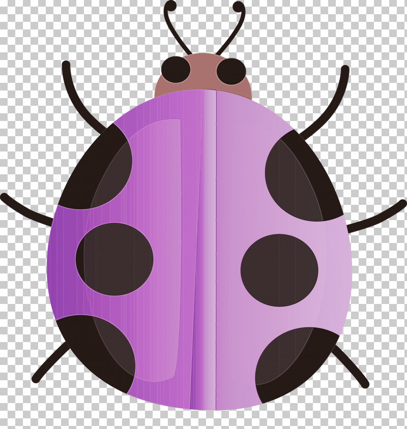 Insect Violet Pink Purple Magenta PNG, Clipart, Insect, Leaf Beetle, Magenta, Paint, Pink Free PNG Download
