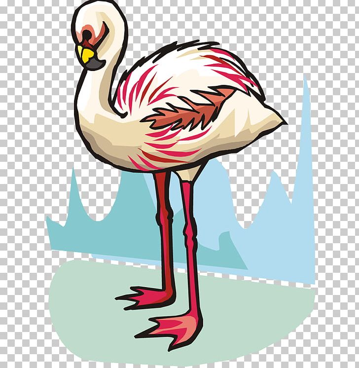 Bird Flamingo PNG, Clipart, Animals, Animation, Art, Artwork, Beak Free PNG Download