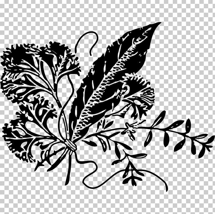 Herbal Tea Parsley PNG, Clipart, Black And White, Branch, Butterfly, Common Sage, Drawing Free PNG Download