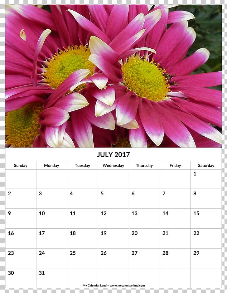 Calendar 0 July Month PNG, Clipart, 2018, August, Calendar, Common Daisy, Desktop Wallpaper Free PNG Download