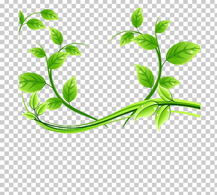 Green Tea PNG, Clipart, Branch, Cup, Drawing, Encapsulated Postscript, Food Drinks Free PNG Download
