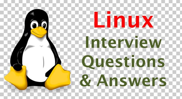 Top 50 Node. Js Interview Questions And Answers Linux Embedded System Job Interview PNG, Clipart, Android, Area, Beak, Bird, Brand Free PNG Download
