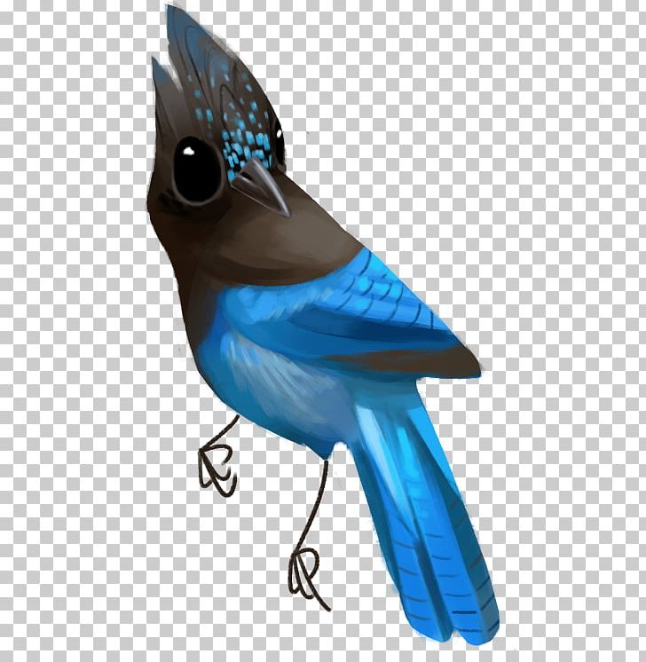 Blue Jay Cobalt Blue Feather Beak Png Clipart Animals Beak Bird Blue Bluebird Free Png Download